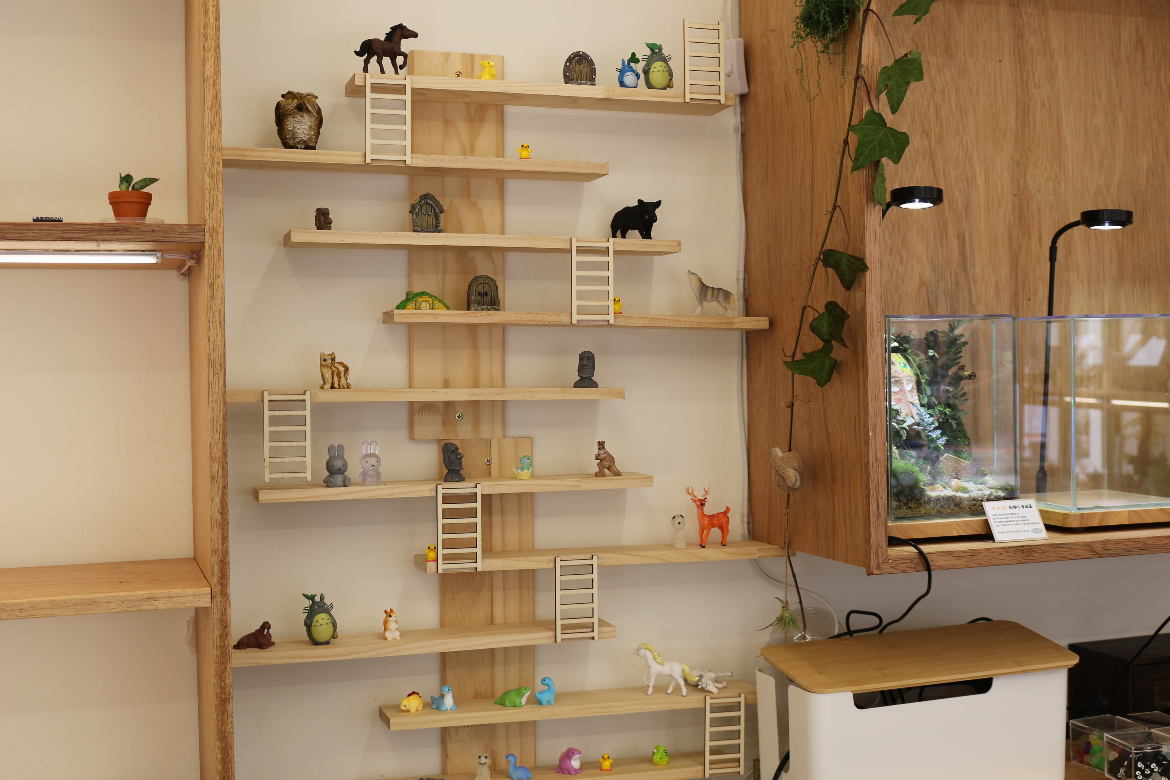 미니 테라리움 키트 — 선물 포장