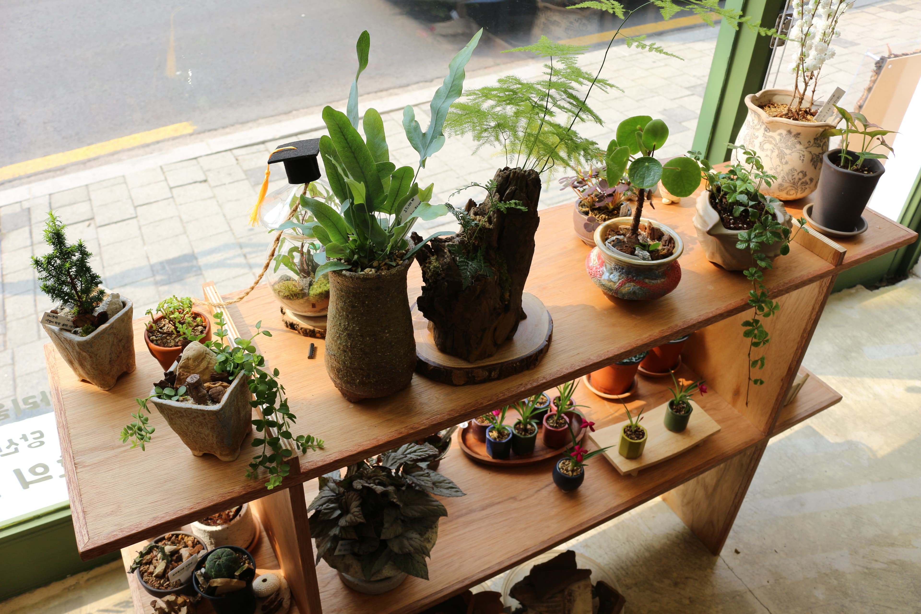 데스크 미니 테라리움