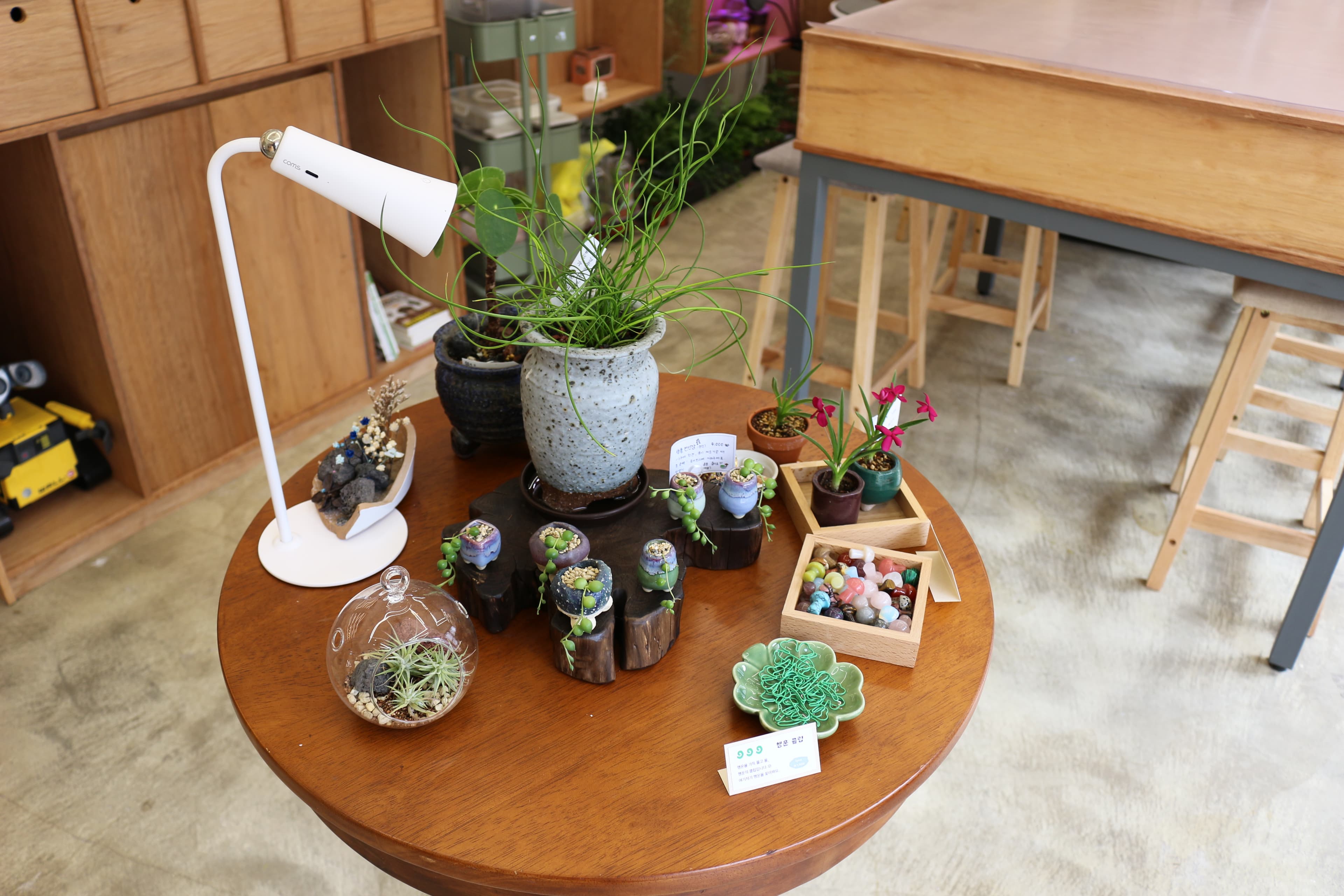 데스크 미니 테라리움 — 매장 전시 모습