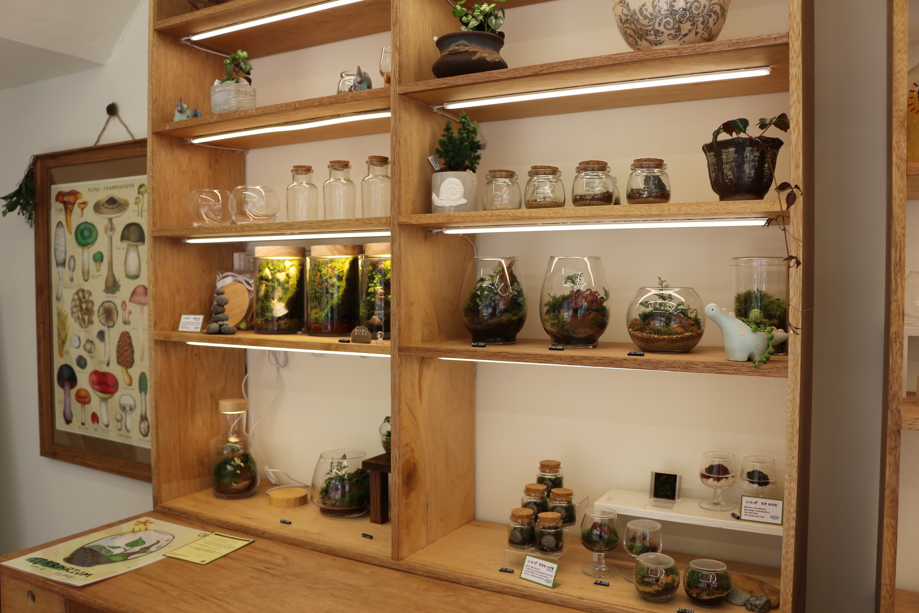 숲속 한 조각 홈키트