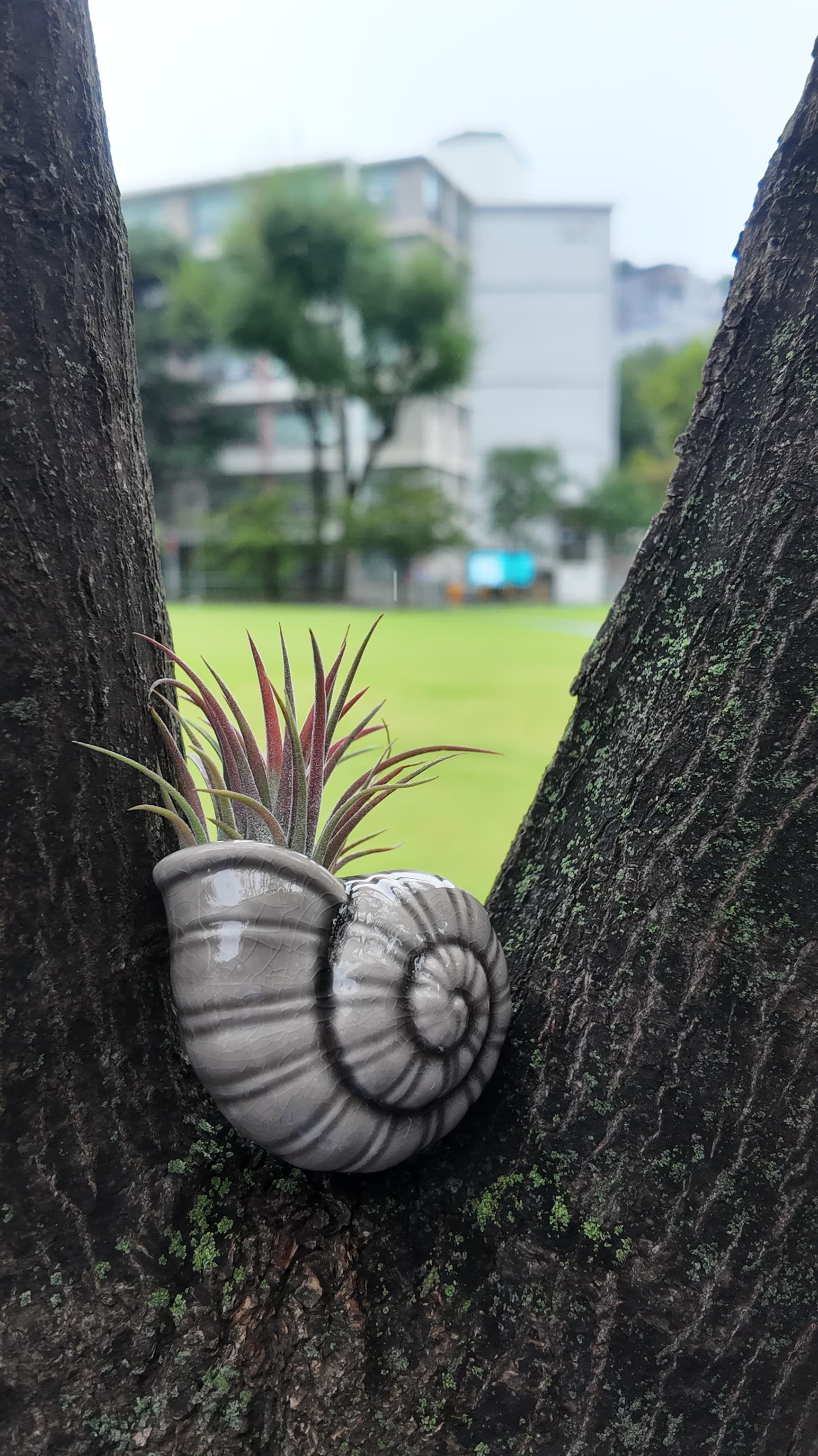 dji_mimo_20250919_151056_20250919151055_1758389616025_photo