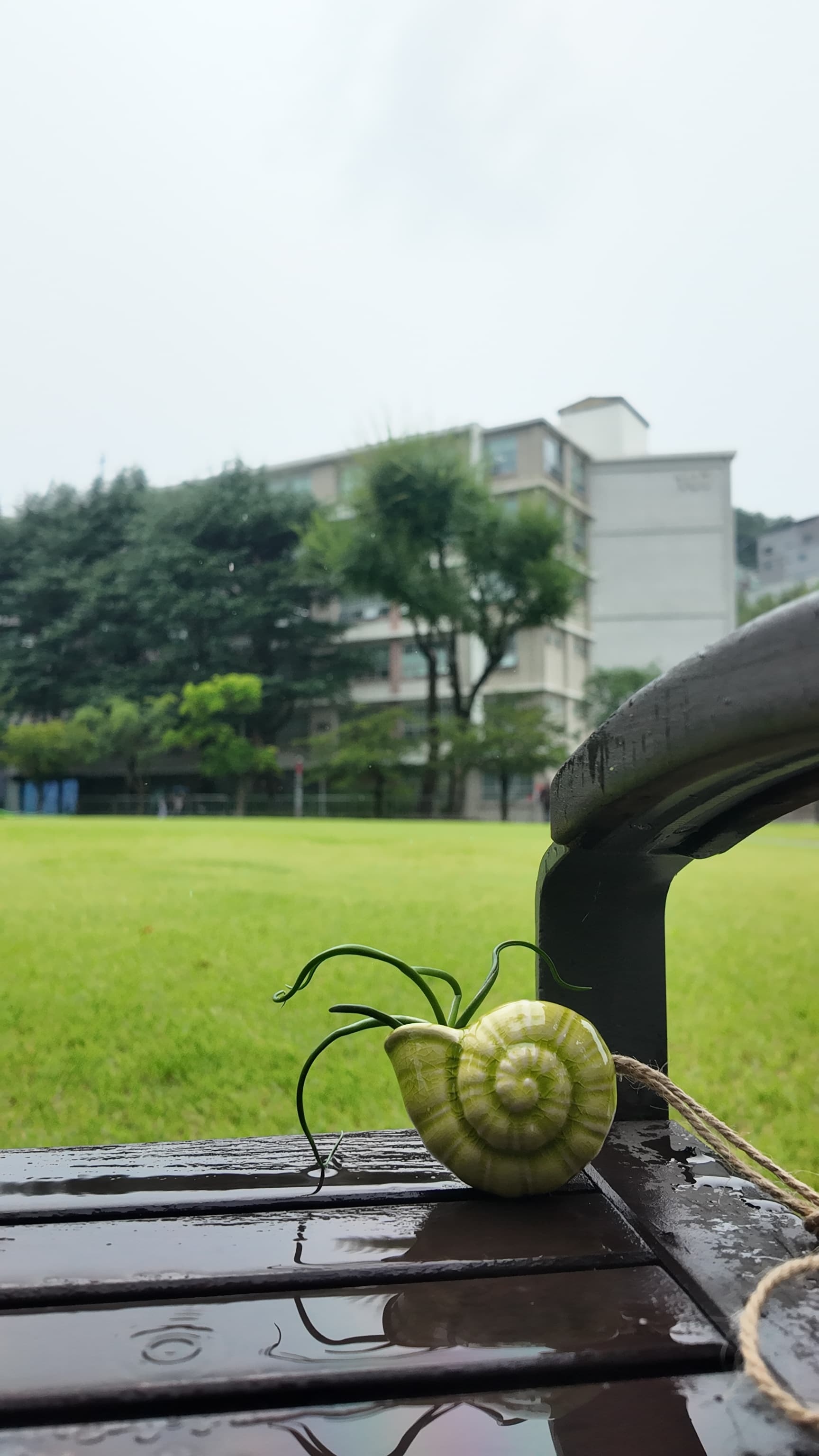 dji_mimo_20250919_151242_20250919151242_1758389615739_photo