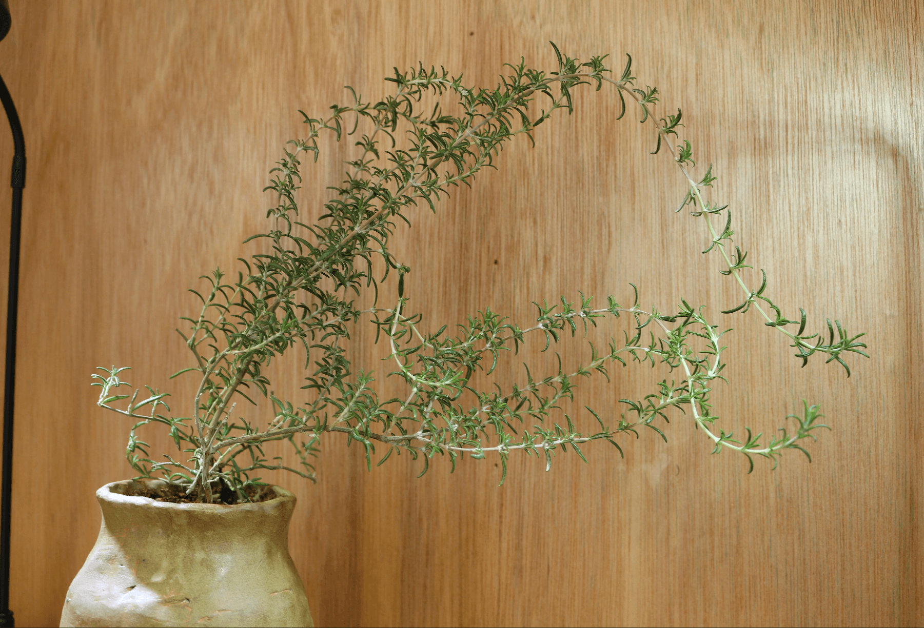 스크린샷 2026-03-30 오후 11.51.05