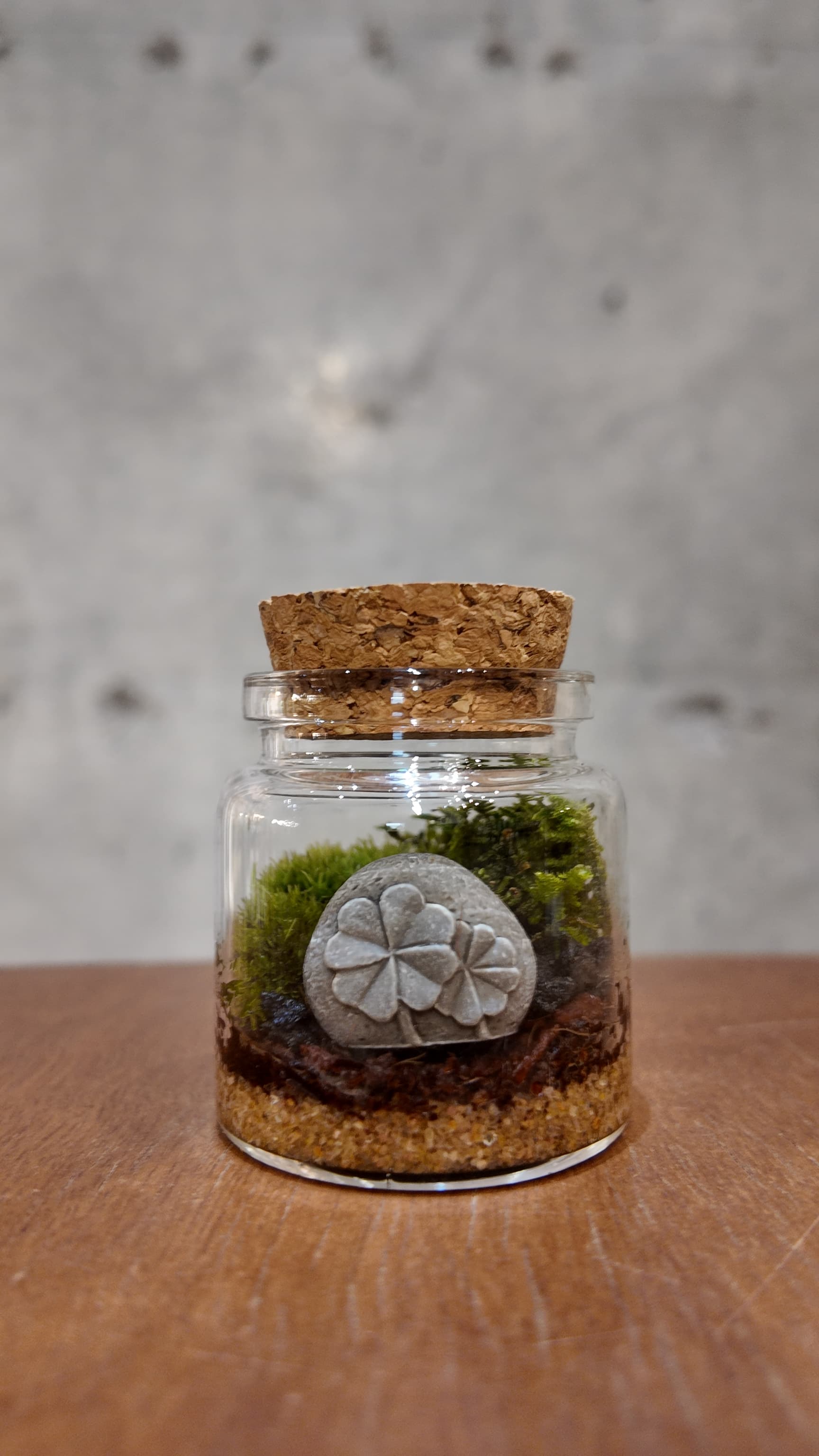 치후테라리움_소원돌테라리움